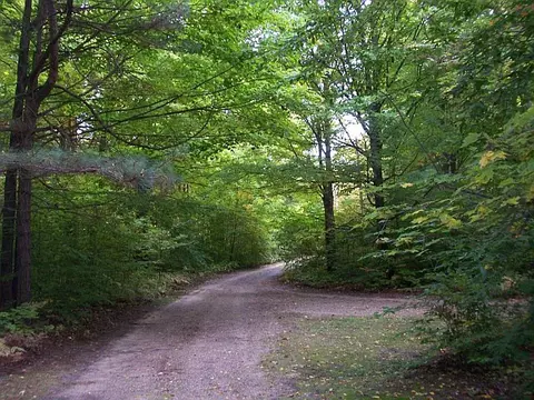 6701 Wolf Road Frederic Mi 49733 Rd, Frederic, MI 49733 photo 15