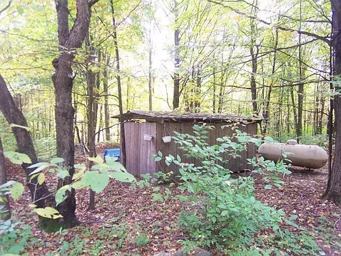 6701 Wolf Road Frederic Mi 49733 Rd, Frederic, MI 49733 photo 16