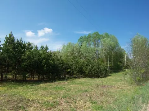 6701 Wolf Road Frederic Mi 49733 Rd, Frederic, MI 49733 photo 8