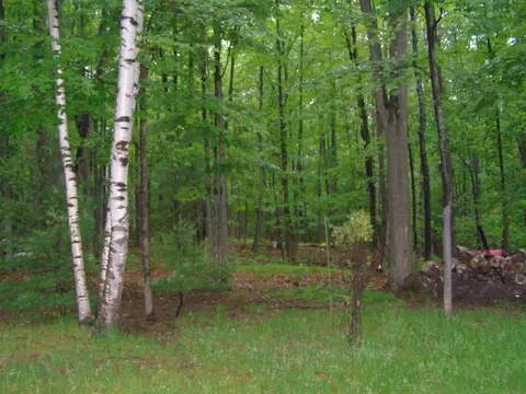 2096 Forester Dr, Frederic, MI 49733 photo 15