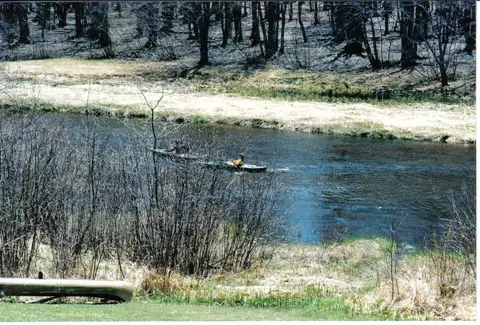 5799 Werth Road Alpena Mi 49707 Rd, Alpena, MI 49707 photo 3