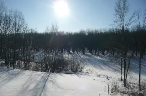 5799 Werth Road Alpena Mi 49707 Rd, Alpena, MI 49707 photo 4
