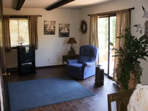 4304 Tower, Pellston, MI 49769 photo 5
