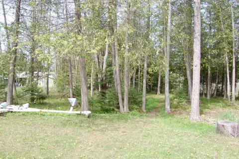 7536 Cheboygan Alanson Mi 49706, Alanson, MI 49706 photo 11