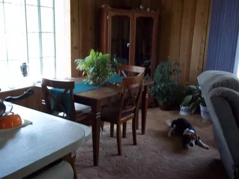 10511 Watson Rd, Wolverine, MI 49799 photo 5