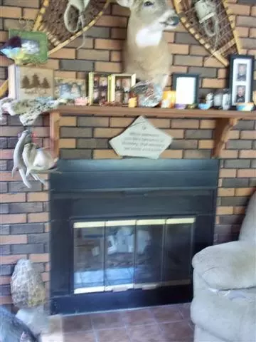 10511 Watson Rd, Wolverine, MI 49799 photo 8