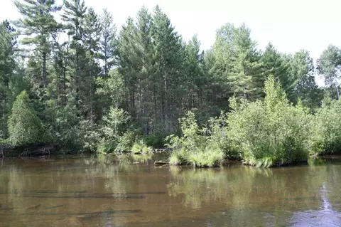 6368 North Dr, Grayling, MI 49738 photo 7