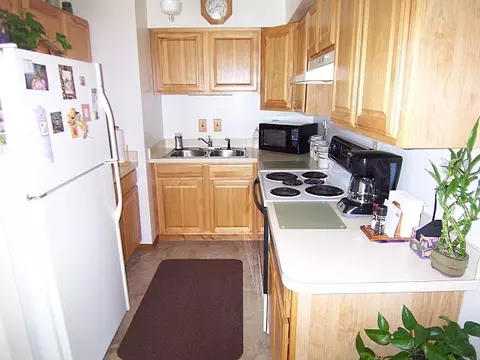 4138 Diamond Dr, Grayling, MI 49738 photo 4