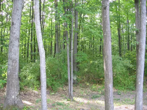 14870 Lytle Road Spruce Mi 48762 Rd, Spruce, MI 48762 photo 11