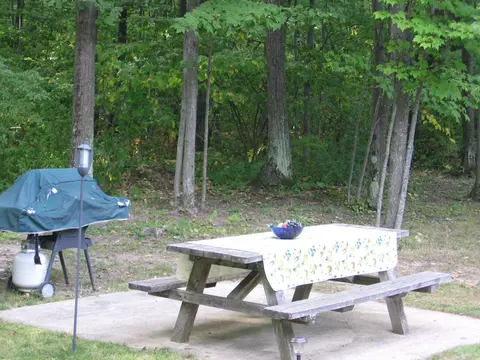 14870 Lytle Road Spruce Mi 48762 Rd, Spruce, MI 48762 photo 14