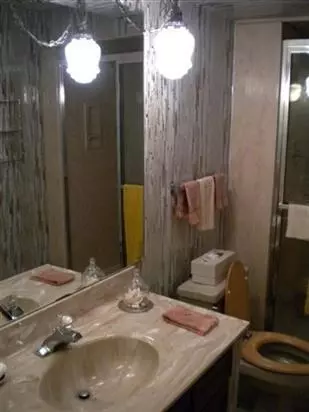 2963 Myrtle Ln, Vanderbilt, MI 49795 photo 9