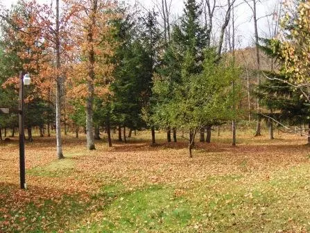 2963 Myrtle Ln, Vanderbilt, MI 49795 photo 15