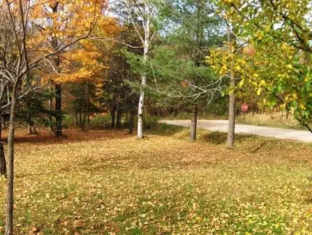 2963 Myrtle Ln, Vanderbilt, MI 49795 photo 14
