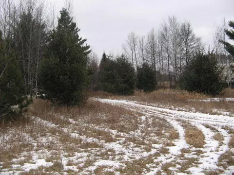 8491 Basel Road Hawks Mi 49743 Rd, Hawks, MI 49743 photo 16