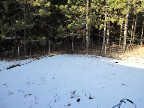 3812 Burrows Rd, Wolverine, MI 49799 photo 18
