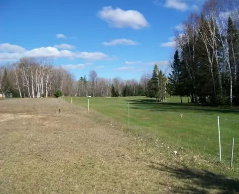3781 Golfview Dr, Wolverine, MI 49799 photo 3