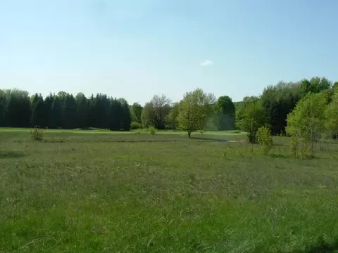 5562 Peanut Hill Rd, Vanderbilt, MI 49795 photo 6