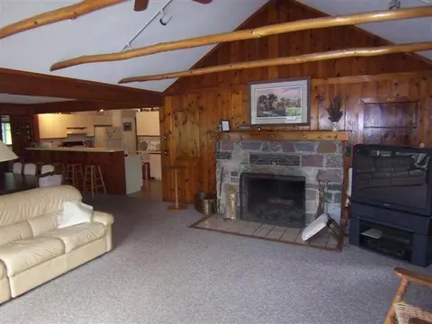 11204 Devils Elbow Trl, Grayling, MI 49738 photo 5