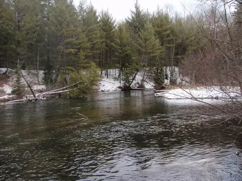 11204 Devils Elbow Trl, Grayling, MI 49738 photo 4