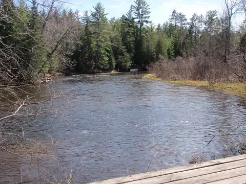 11204 Devils Elbow Trl, Grayling, MI 49738 photo 3
