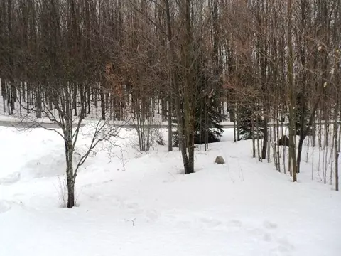 338 E Thumb Lake Rd, Vanderbilt, MI 49795 photo 12