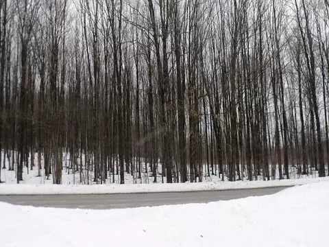 338 E Thumb Lake Rd, Vanderbilt, MI 49795 photo 7