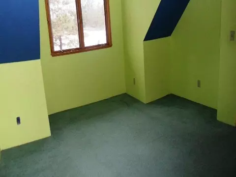 338 E Thumb Lake Rd, Vanderbilt, MI 49795 photo 23