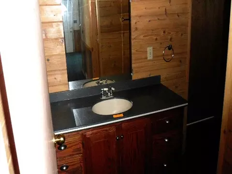 338 E Thumb Lake Rd, Vanderbilt, MI 49795 photo 10