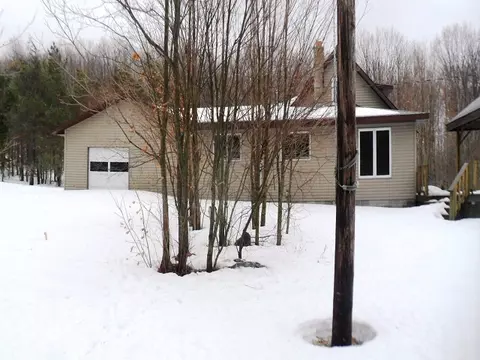 338 E Thumb Lake Rd, Vanderbilt, MI 49795 photo 4