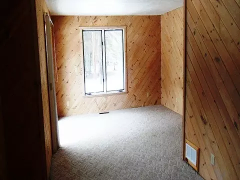338 E Thumb Lake Rd, Vanderbilt, MI 49795 photo 19