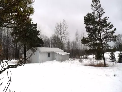 338 E Thumb Lake Rd, Vanderbilt, MI 49795 photo 9