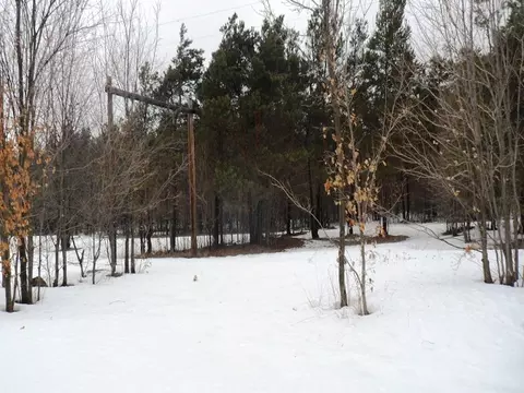 338 E Thumb Lake Rd, Vanderbilt, MI 49795 photo 8