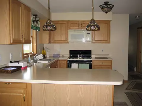 8610 Brudy Rd, Wolverine, MI 49799 photo 10