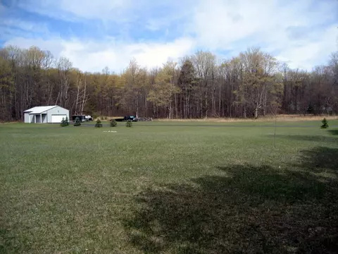 8610 Brudy Rd, Wolverine, MI 49799 photo 2