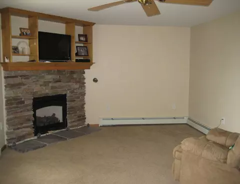 8610 Brudy Rd, Wolverine, MI 49799 photo 12