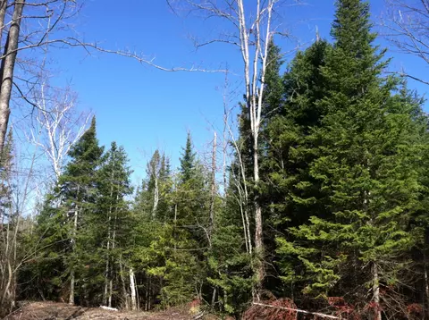 3475 Webb Rd, Wolverine, MI 49799 photo 9