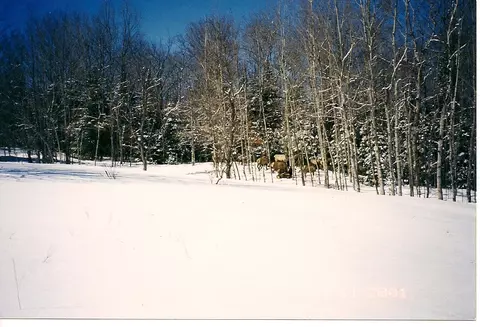 3475 Webb Rd, Wolverine, MI 49799 photo 12