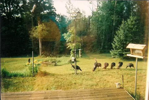 3475 Webb Rd, Wolverine, MI 49799 photo 11