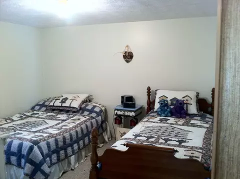 3475 Webb Rd, Wolverine, MI 49799 photo 7