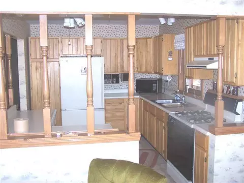 15566 Island Dr, Wolverine, MI 49799 photo 3