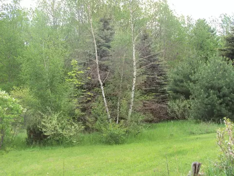 3480 Bowman Road Alanson Mi 49706 Rd, Alanson, MI 49706 photo 28