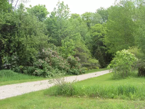 3480 Bowman Road Alanson Mi 49706 Rd, Alanson, MI 49706 photo 25