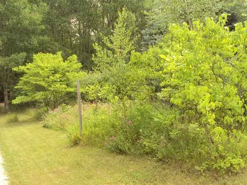 3480 Bowman Road Alanson Mi 49706 Rd, Alanson, MI 49706 photo 19