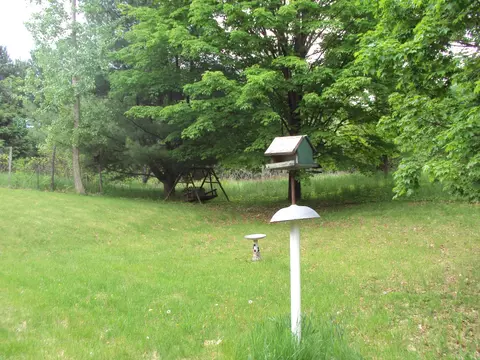3480 Bowman Road Alanson Mi 49706 Rd, Alanson, MI 49706 photo 30