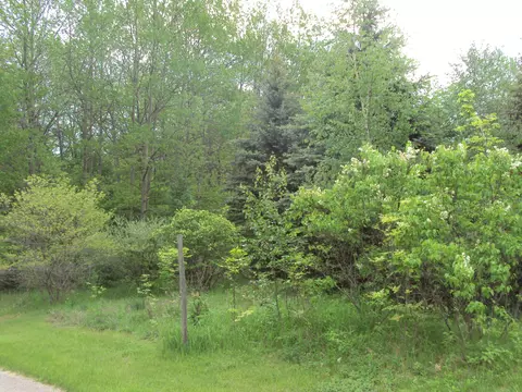 3480 Bowman Road Alanson Mi 49706 Rd, Alanson, MI 49706 photo 20