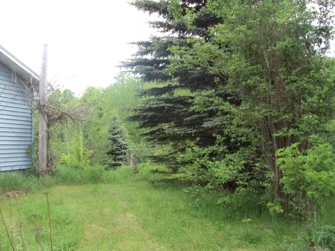 3480 Bowman Road Alanson Mi 49706 Rd, Alanson, MI 49706 photo 33