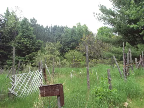 3480 Bowman Road Alanson Mi 49706 Rd, Alanson, MI 49706 photo 31