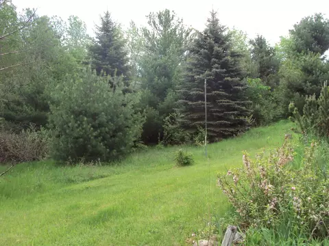 3480 Bowman Road Alanson Mi 49706 Rd, Alanson, MI 49706 photo 26