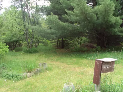 3480 Bowman Road Alanson Mi 49706 Rd, Alanson, MI 49706 photo 36