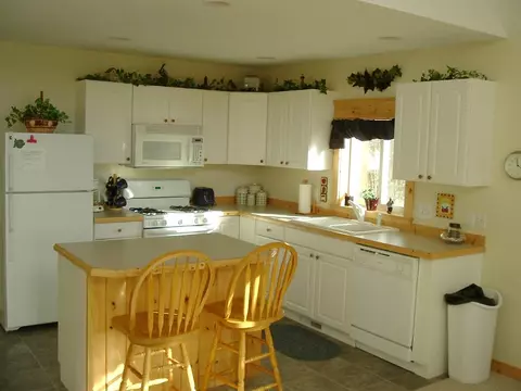 15612 Lakeview Dr, Wolverine, MI 49799 photo 11